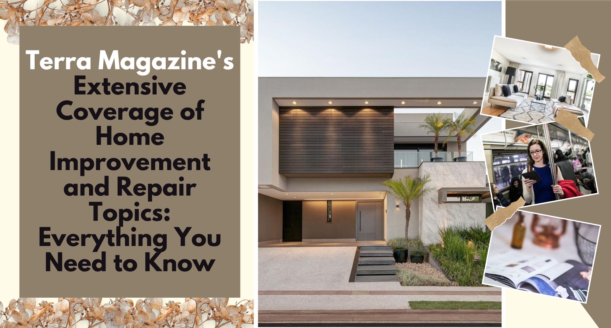 Terra Magazine's Extensive Coverage of Home Improvement and Repair Topics Everything You Need to Know